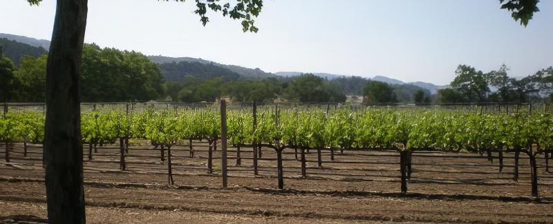 2006 George De Latour Private Reserve Cabernet Sauvignon